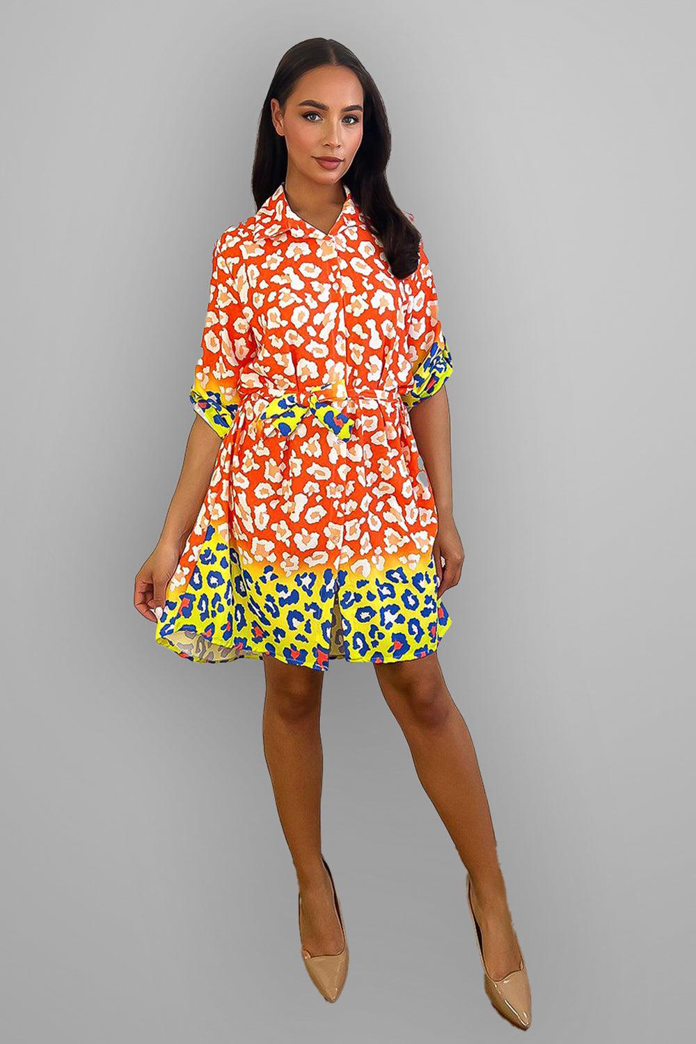 Floral Print With Block Colour Shirt Dress