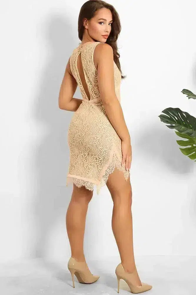 Nude Lace Mesh V-Neck Sleeveless Bodycon Dress-SinglePrice