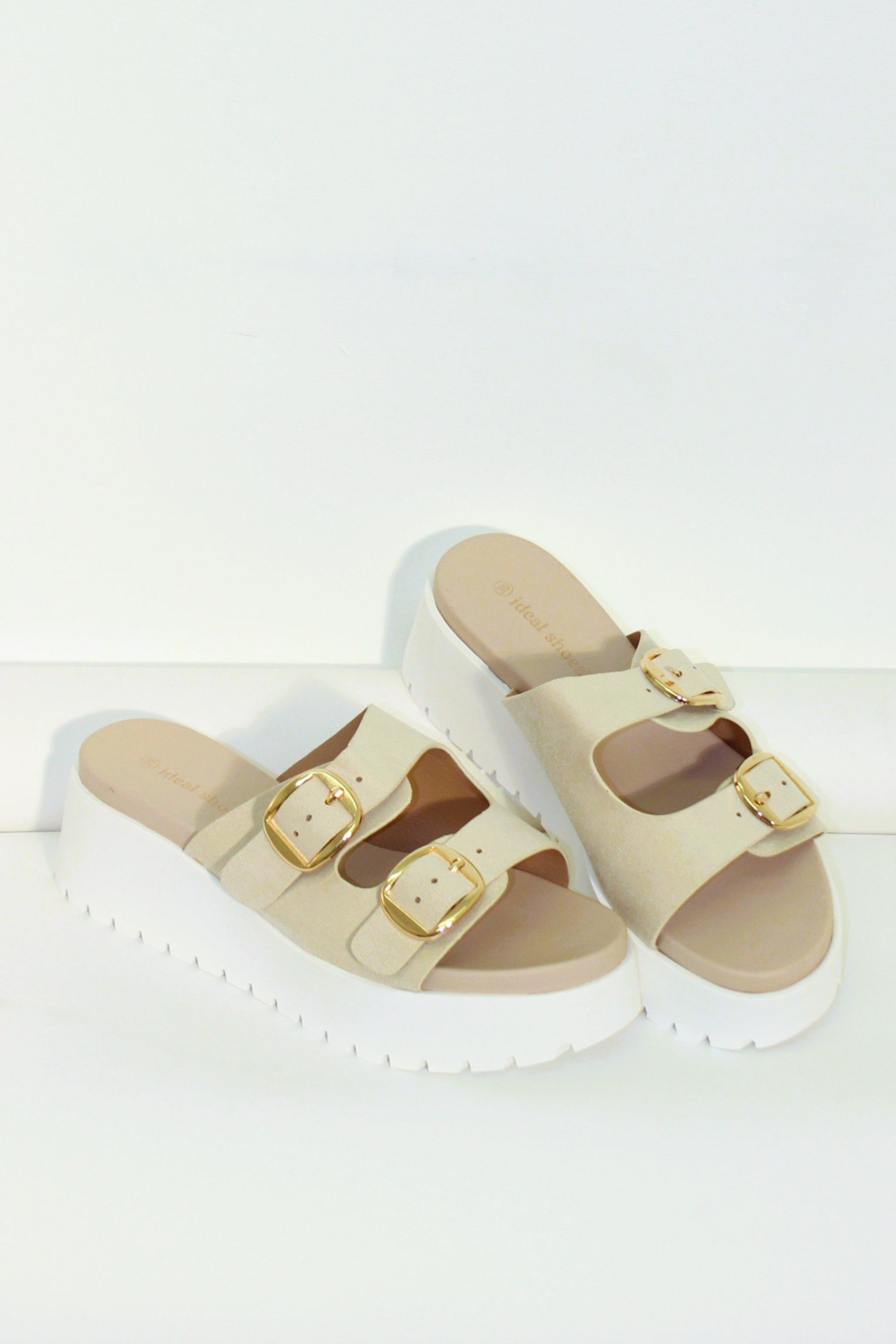 Wholesale Women’s Chunky Adjustable Double Buckle Slider Shoes (BOX OF 12)