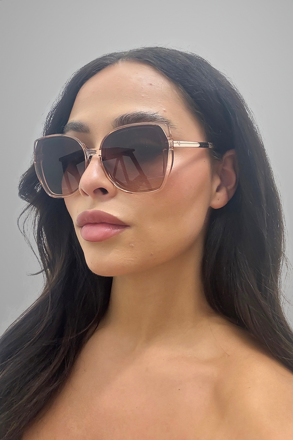 Large Butterfly Transparent Frame Sunglasses