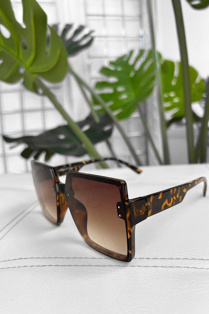 Extra Large Square Frame Sunglasses-SinglePrice