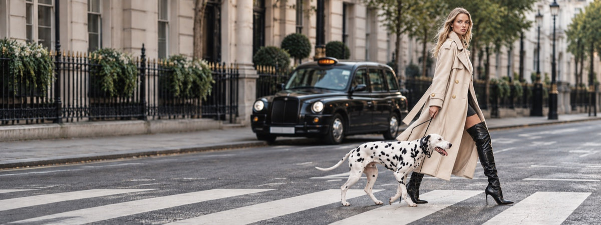 Woman in a trench coat walking a Dalmatian across a London street